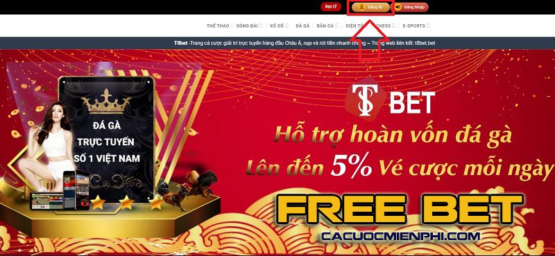 Vg99 cung cấp những loại game nào? - Vg99