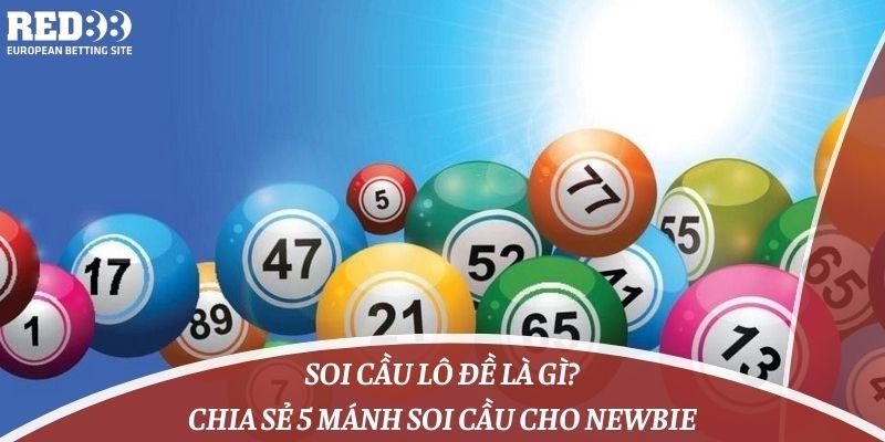 Trận đấu cấp độ Me88 của Pakistan - Me88
