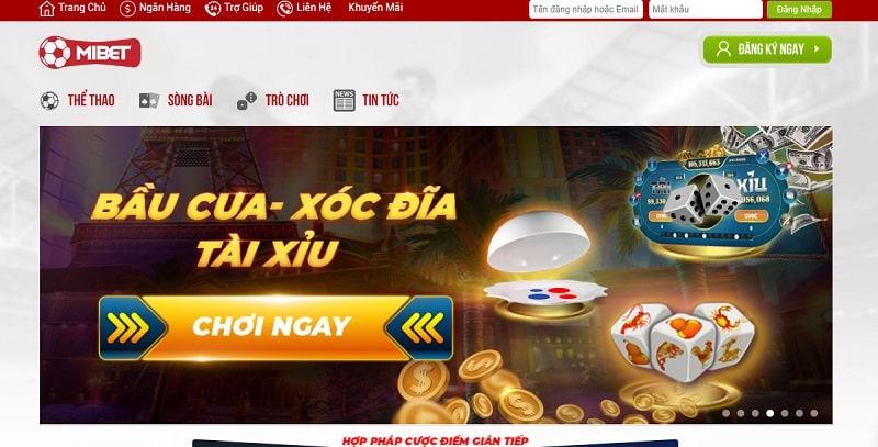 Tôi đã bị Suncity Games lừa dối và phản bội như thế nào? - Suncity