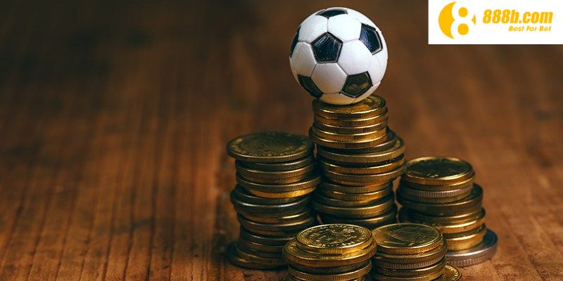 Giải đáp một số câu hỏi thường gặp của các thành viên Betvip - Betvip