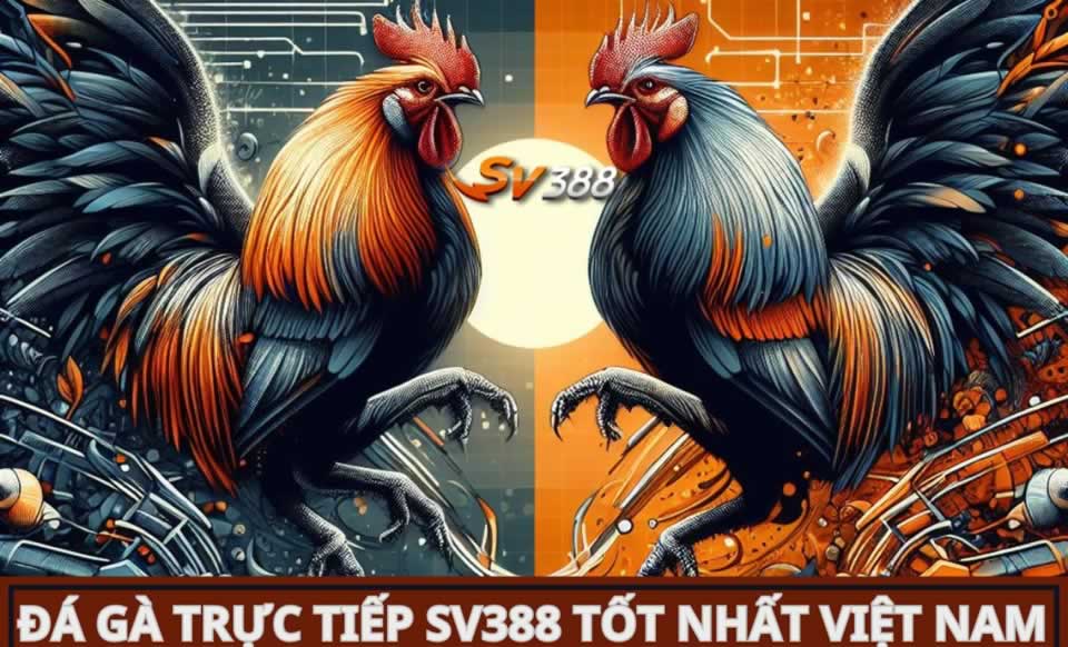 Tận hưởng các đặc quyền VIP hạng Tdtc và khám phá thế giới xa hoa - Tdtc