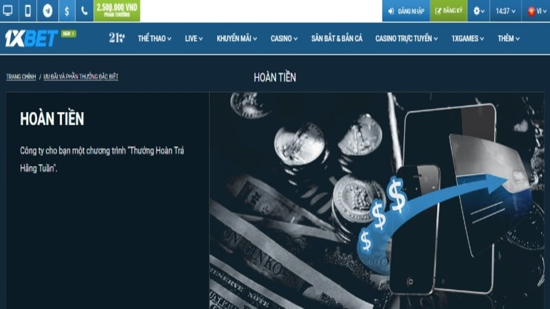 Vì sao đội không thể giành chiến thắng ở cấp độ 1Win? - 1Win