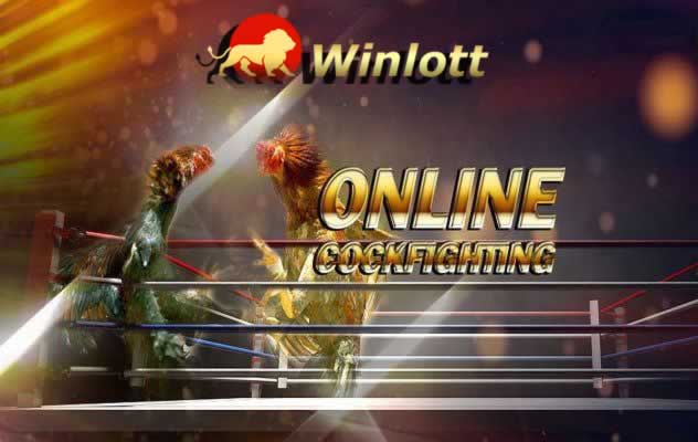 Đăng nhập vào Z8bet 2026, bao gồm cả trang web Z8bet - Z8bet