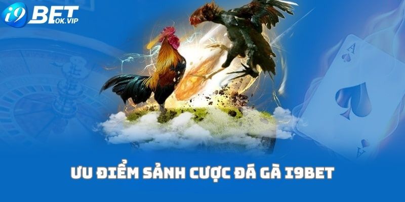 Fb88 có một số hoạt động quảng bá khá thú vị - Fb88