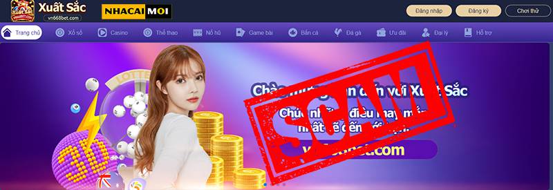 Manbetx, các bạn cung cấp những dịch vụ gì? - Manbetx