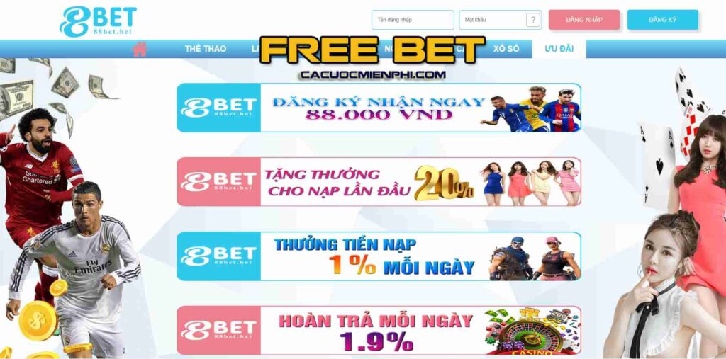Bảo đảm tài chính cấp độ Yue88 - Yue88