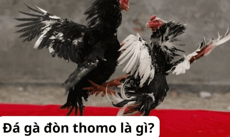 33King, một tổ chức luôn ưu tiên xây dựng lòng tin, đã lừa dối người chơi như thế nào? - 33King