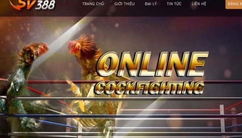 Vui lòng đọc kỹ thông tin liên quan đến phần thưởng và trò chơi 68Lottery trước khi tham gia - 68Lottery