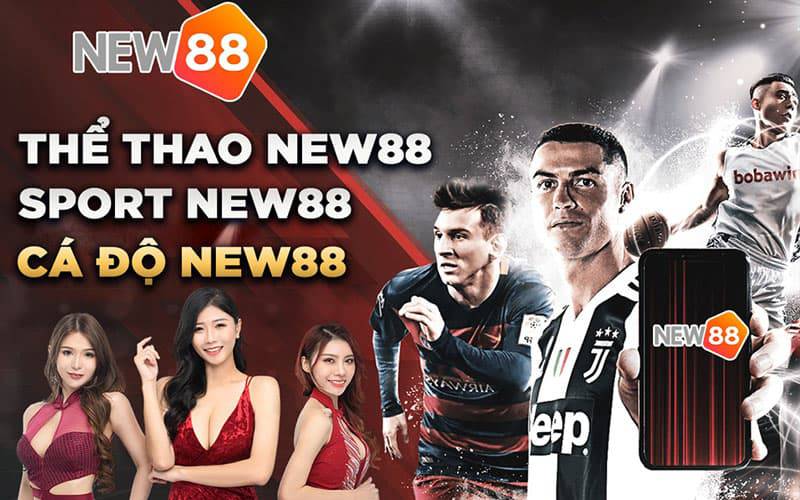 Dịch vụ giải trí kiếm tiền thật Nohu90 - Nohu90