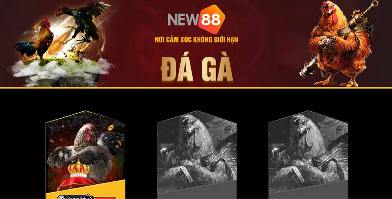 Giải đáp nhanh một số câu hỏi thường gặp về trang web Yue88 Games - Yue88