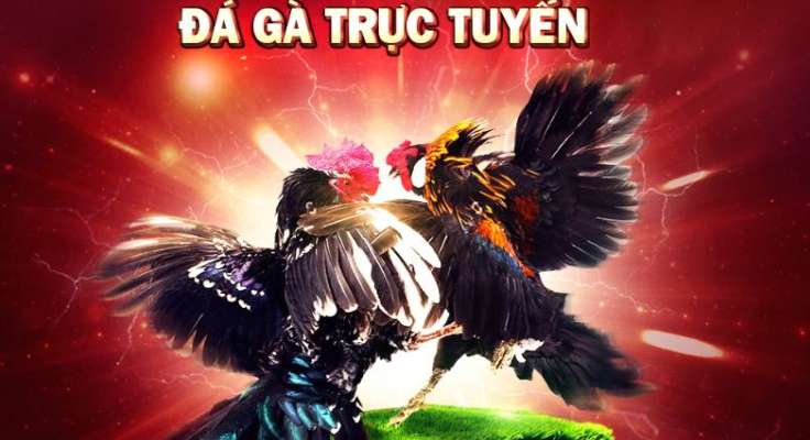 Trang web đạt chuẩn Nn88, một trang web chơi game đáp ứng các tiêu chuẩn quốc tế - Nn88