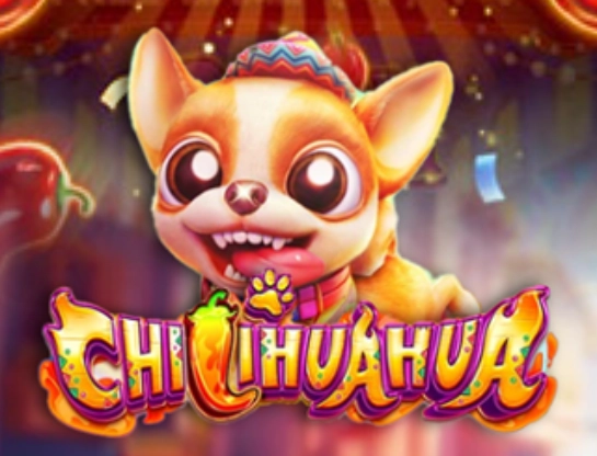 Chilihuahua